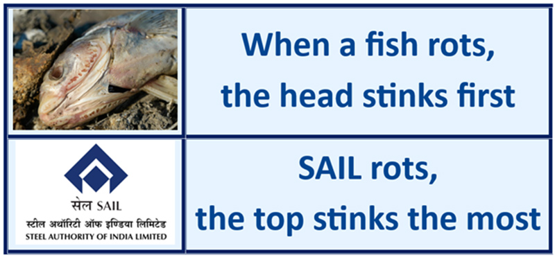 SAIL PROJECT SCAM: “When a fish rots, the head stinks first”